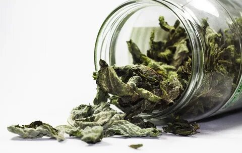 تصویر 5 از خرید تضمینی سبزی نعنا خشک صادراتی + فروش عمده